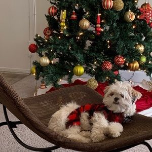 Meet your Posher, Aiko